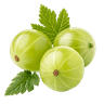 Amla