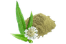 Bhringraj
