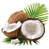 Coconut Oil
